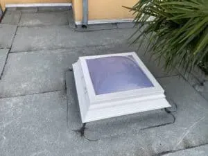 Ein kleines weißes Oberlicht in einem grauen Ziegeldach, gefertigt von einer erfahrenen Dachdeckerei, auf der rechten Seite ist eine Pflanze zu sehen.